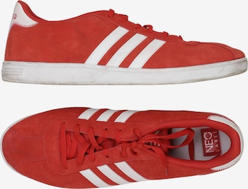 ADIDAS NEO Sneaker 48,5 in Mischfarben: Vorderseite