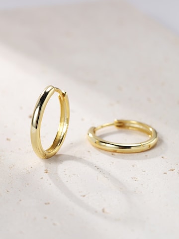 Hey Happiness Oorbel 'Mid Plain' in Goud