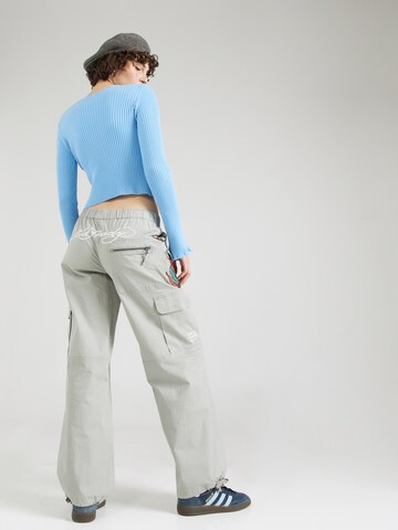 Regular Pantalon cargo 'TWISTED DRAGON' Ed Hardy en gris