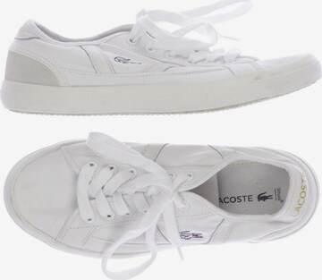 LACOSTE Sneakers & Trainers in 35,5 in White: front