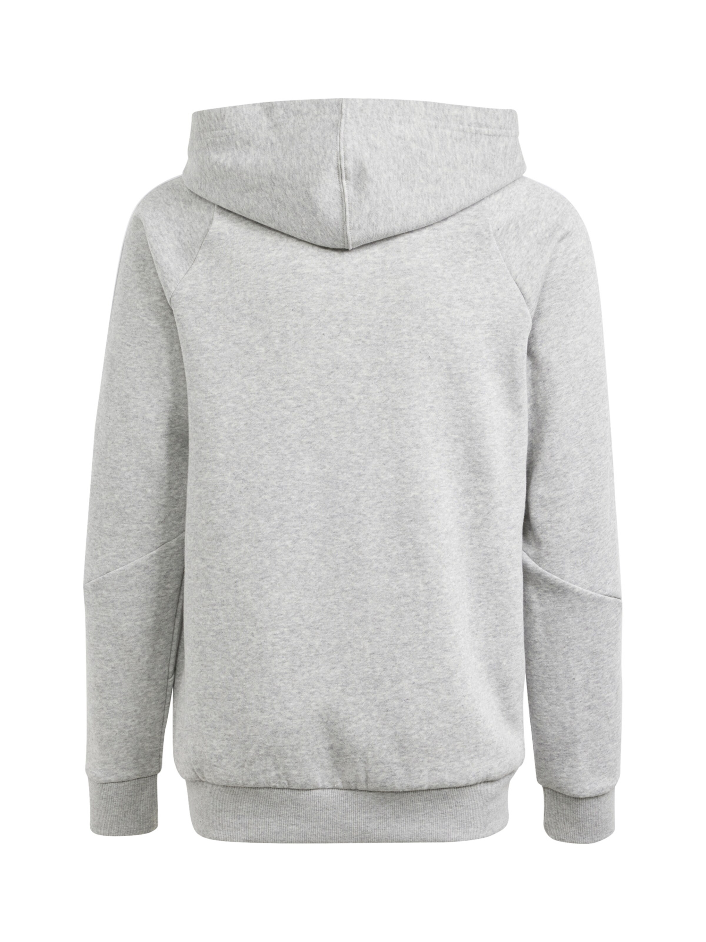 ADIDAS PERFORMANCE Спортивный свитшот 'Tiro 24' в Серый