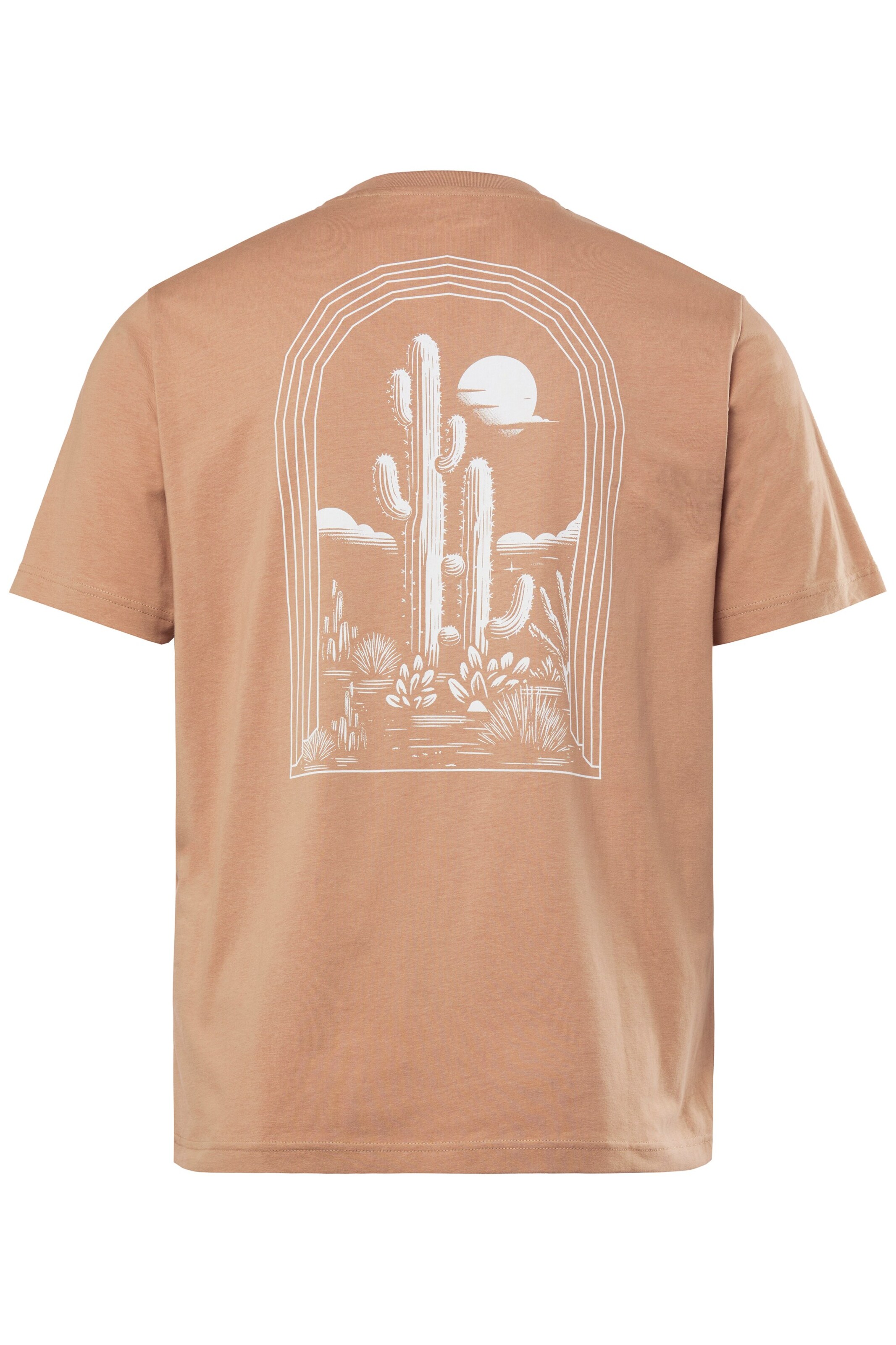 Men Plus Shirt in Beige