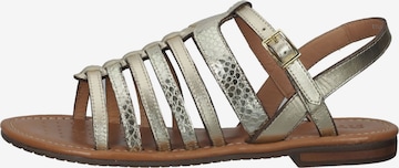 GEOX Sandalen met riem in Goud