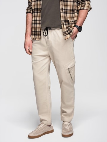 regular Pantaloni sportivi di Ombre in beige
