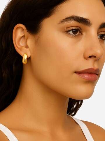 Heideman Oorbellen 'Freydis' in Goud: voorkant