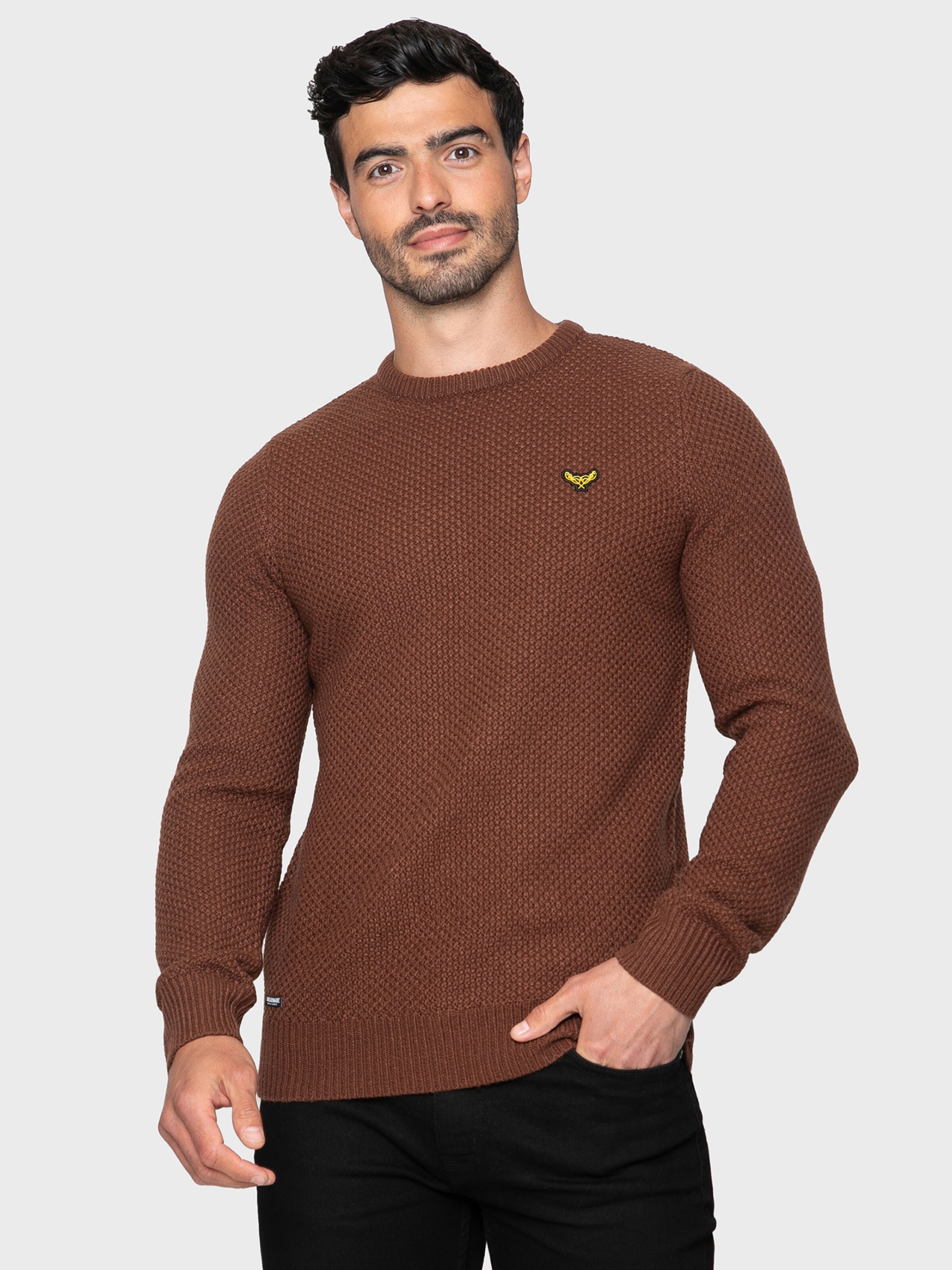 Männer Pullover & Strick Threadbare Pullover 'Bluejay' in Braun - VA84162 Männer Pullover & Strick Threadbare Pullover 'Bluejay' in Braun - VA84162