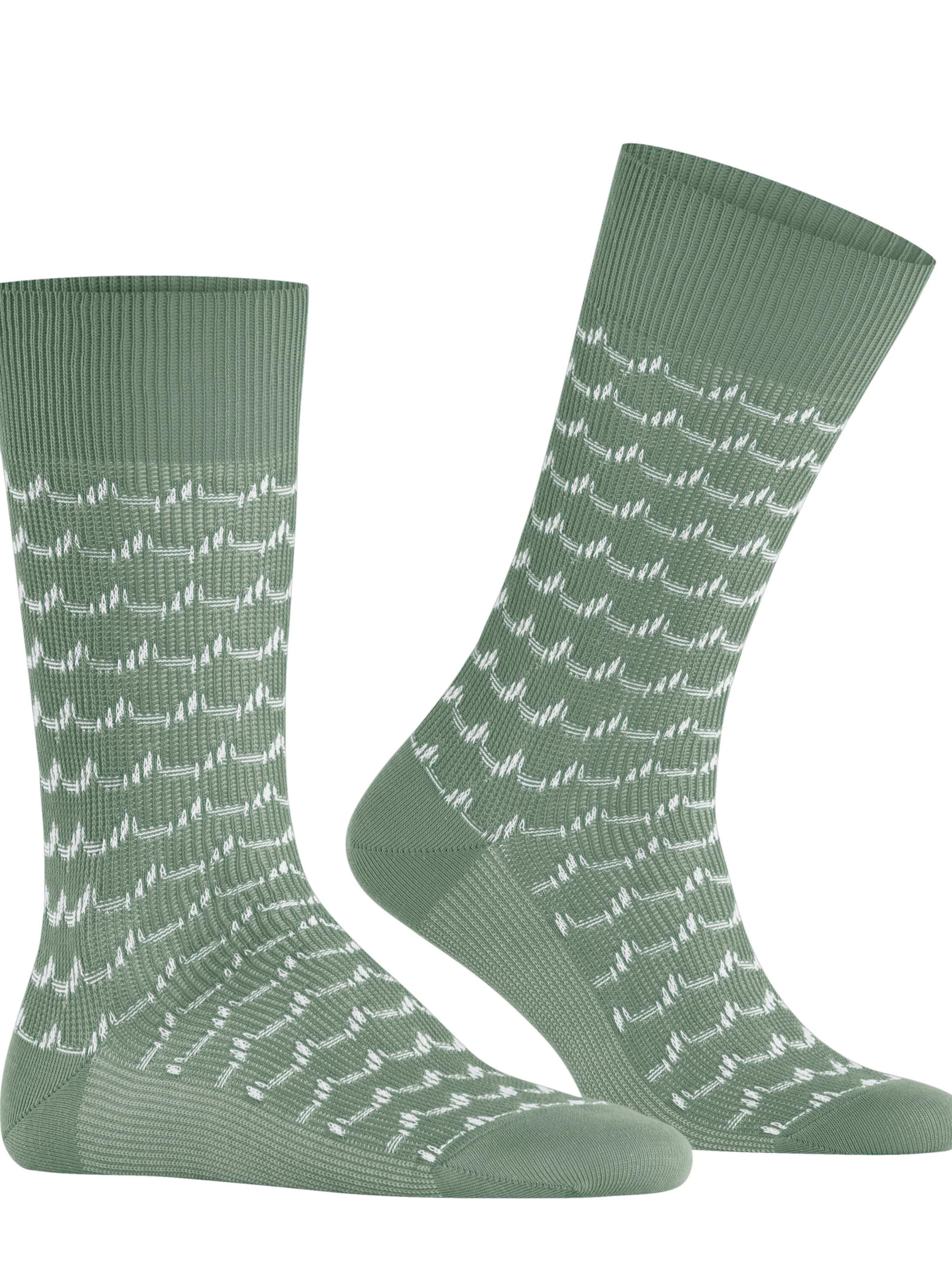 FALKE Socks 'Sea Rock' in Green