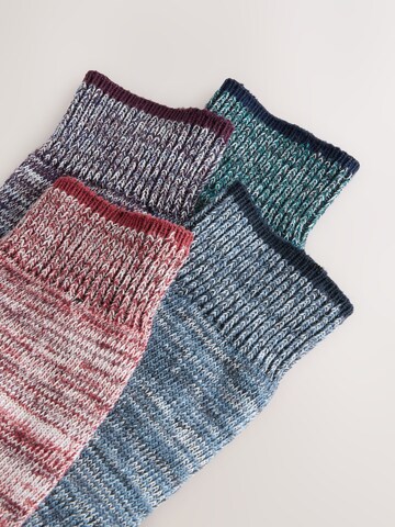 Next Socks in Mixed colors