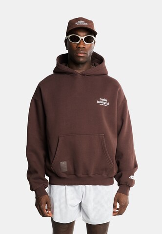 Another Cotton Lab Sweatshirt i brun