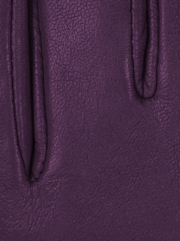 KESSLER Fingerhandschuhe‌‌‌‌‌ in Lila