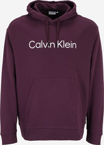 Sweat-shirt Calvin Klein Big & Tall en violet : devant