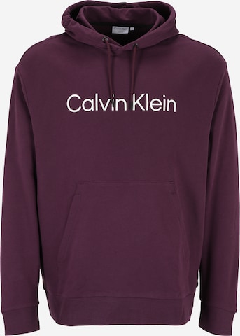 Calvin Klein Big & Tall Sweatshirt in Purple: front