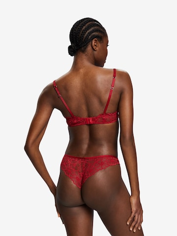 ESPRIT Panty in Red