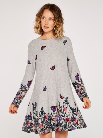 Robe de cocktail Apricot en gris : devant