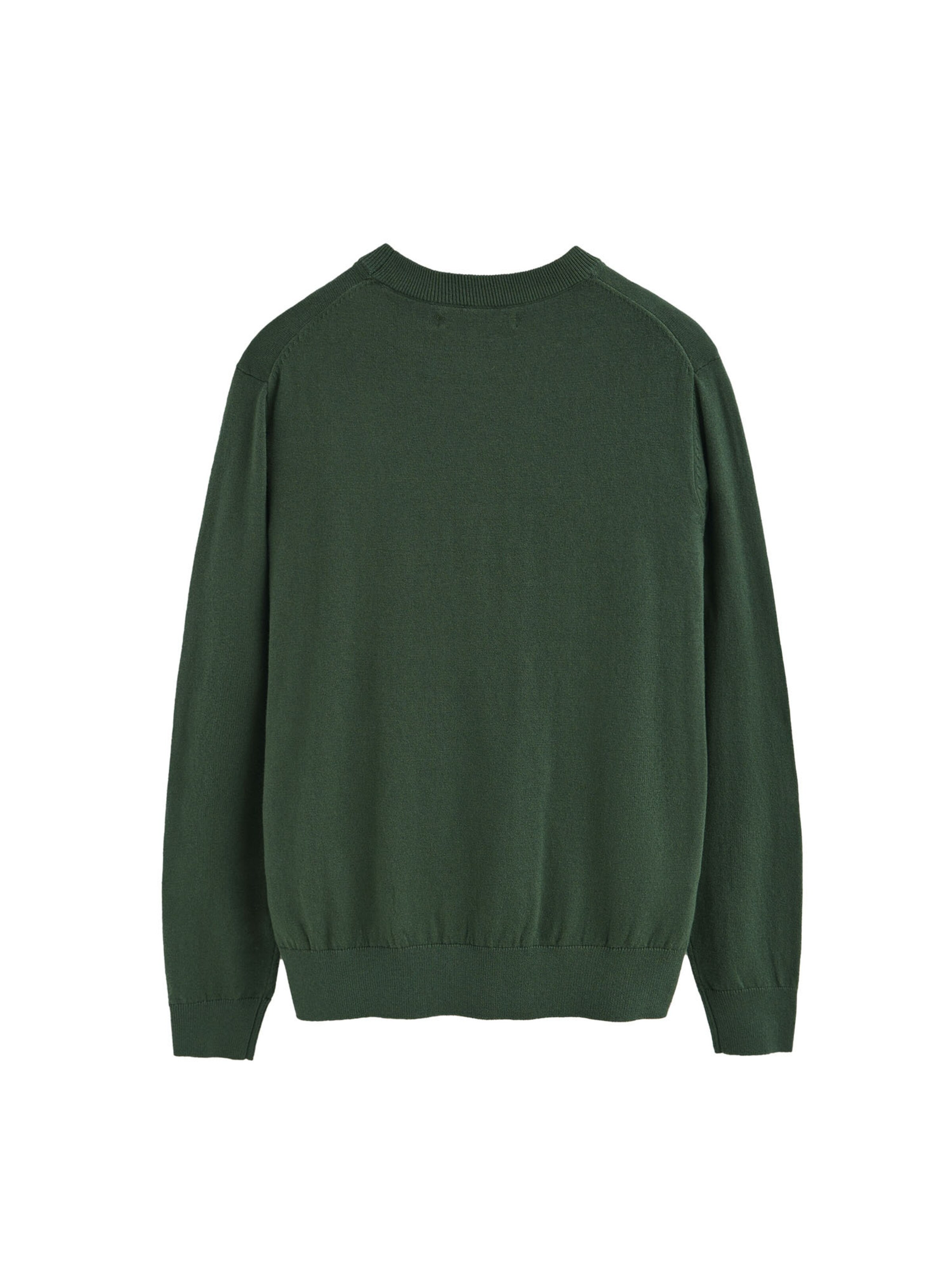 Polo Club Pullover in Grün