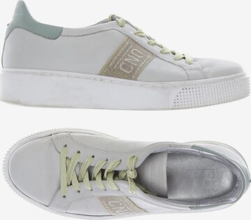 CINQUE Sneakers & Trainers in 39 in Grey: front
