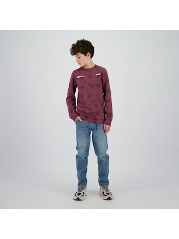Raizzed Sweatshirt in Lila