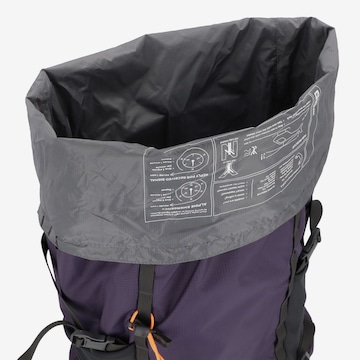 JACK WOLFSKIN Sports Backpack 'Cyrox Shape 30' in Purple