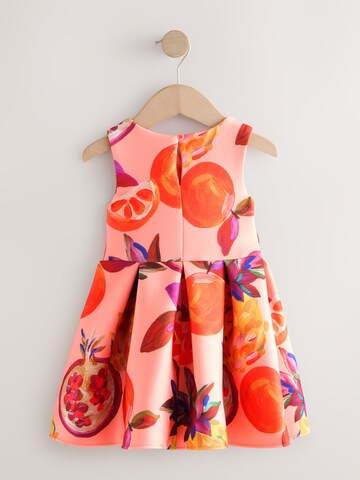 Next Kleid in Orange