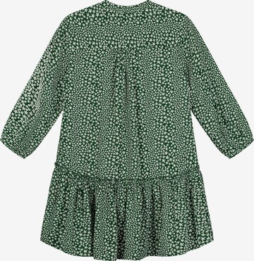 Robe Shiwi en vert