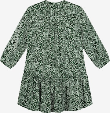 Shiwi Платье в Зеленый