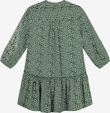 Shiwi Dress in Green