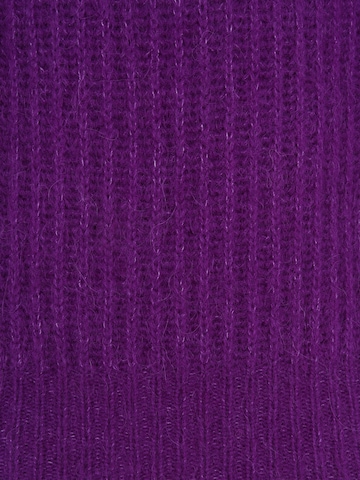 Lauren Ralph Lauren Petite Пуловер 'STANIMIR' в лилав