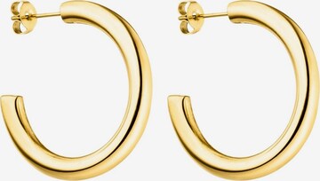 PURELEI Earrings 'Kumu O' in Gold: front