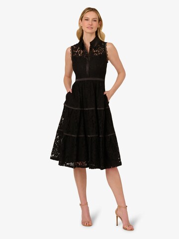 Adrianna Papell Blusenkleid in Schwarz: Vorderseite