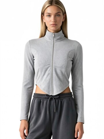 Veste de survêtement 'Sweatshirts' Hiccup en gris : devant