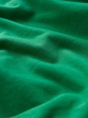Seasalt Cornwall Sweatshirt 'Sterling' in Groen