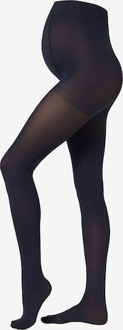 CALZEDONIA Tights in Blue: front