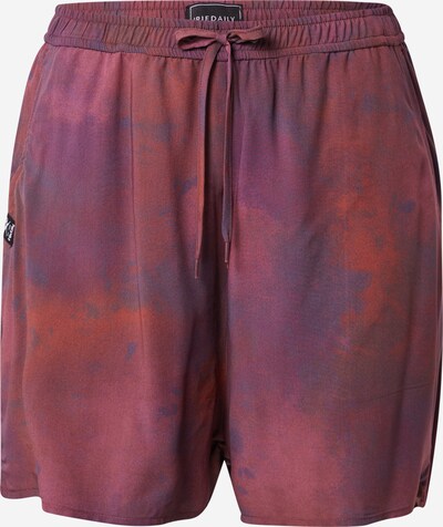 Iriedaily Pantalón en lila oscuro / rojo / rojo violáceo, Vista del producto