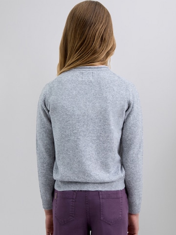 ScalpersPulover ' ' - siva boja
