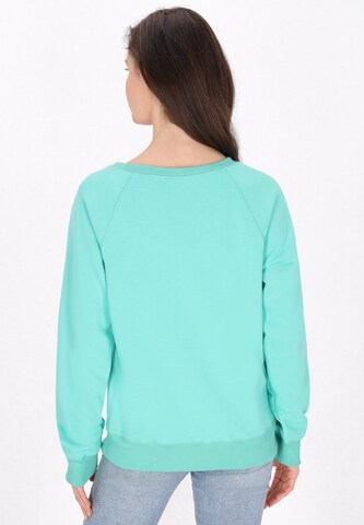 usha BLUE LABEL - Sweatshirt em verde