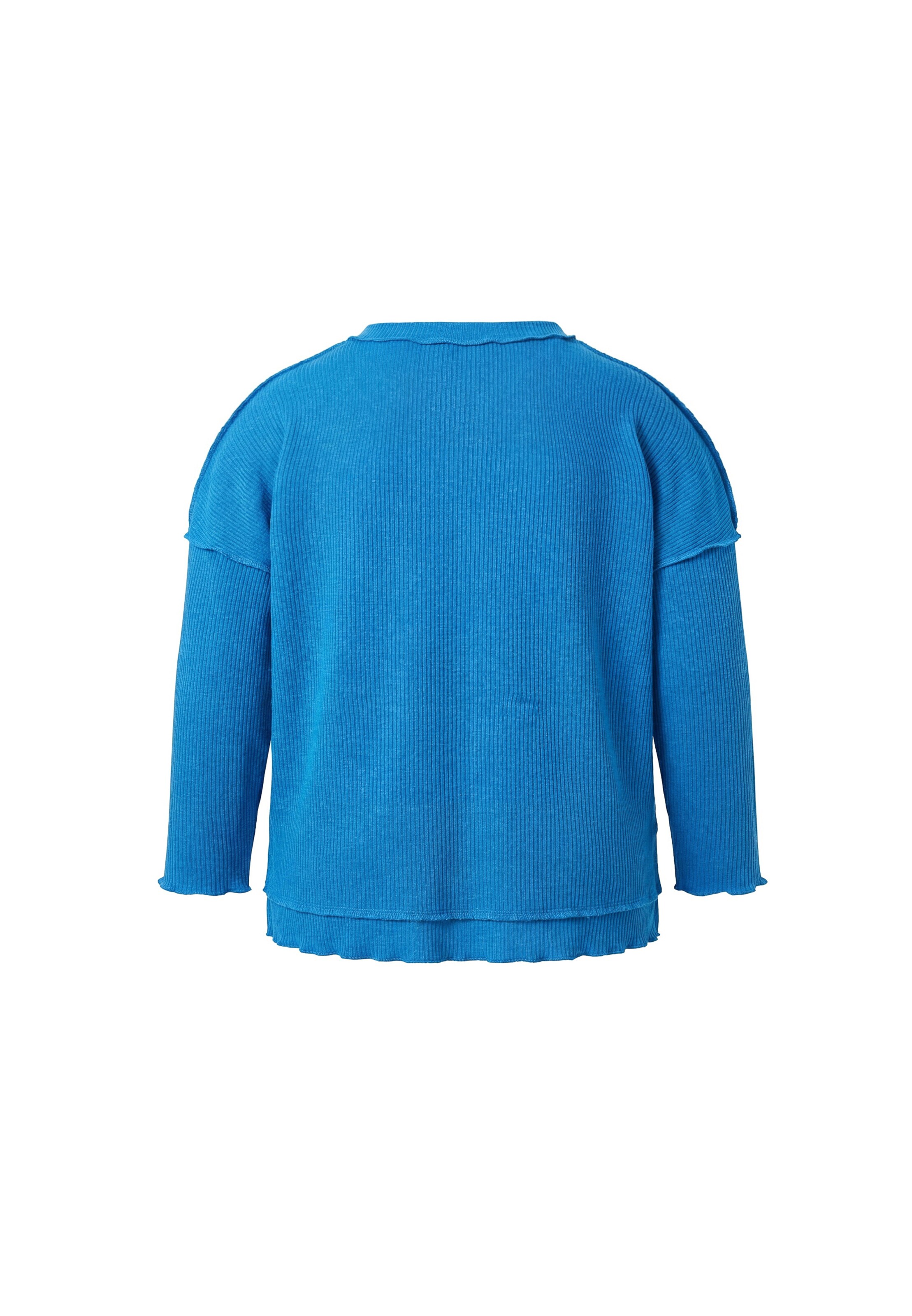 usha BLACK LABEL Trui in Blauw