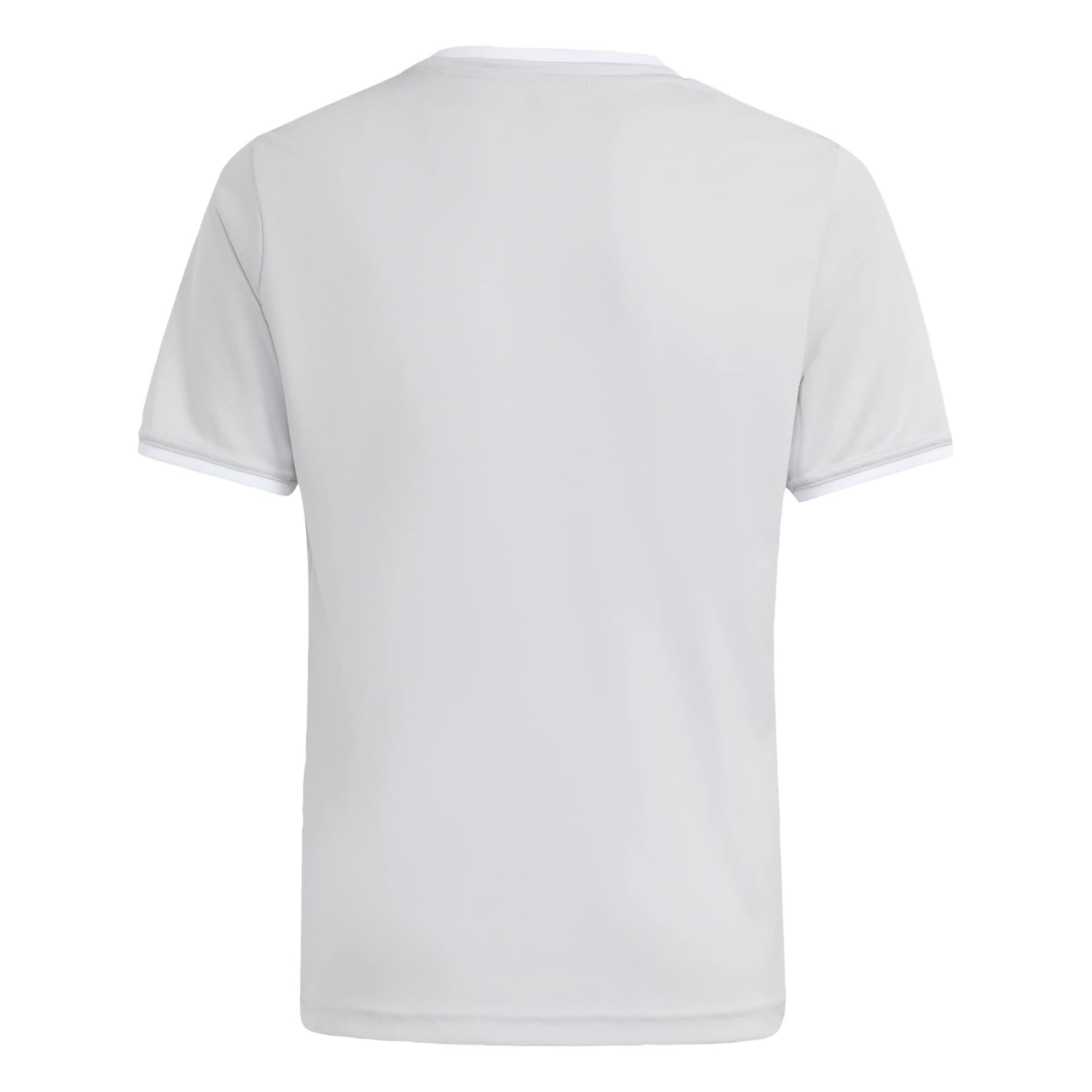 ADIDAS PERFORMANCE Functioneel shirt 'Entrada26' in Grijs