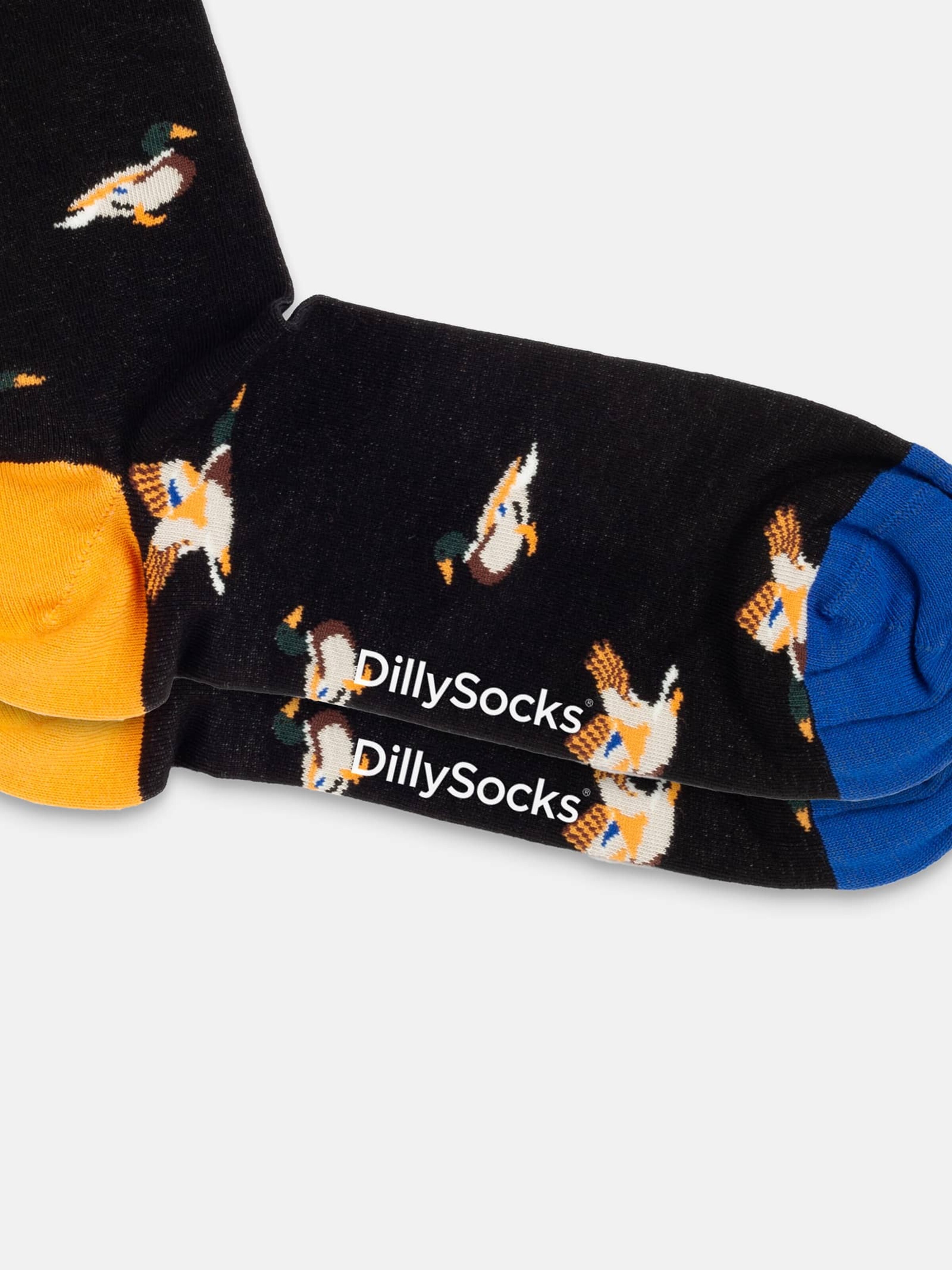 DillySocks Sokken 'Geschenkbox - Flutter into Spring (3er Box)' in Gemengde kleuren