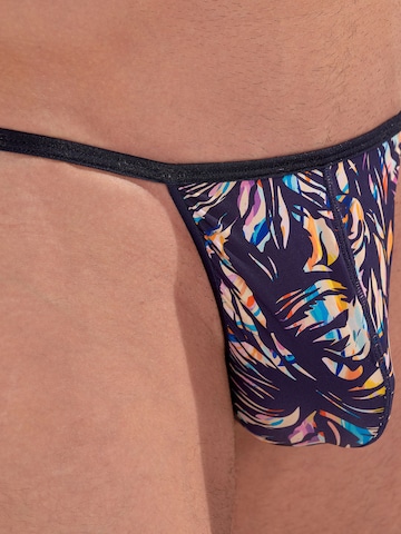 HOM G-String ' Viscaya ' in Blau