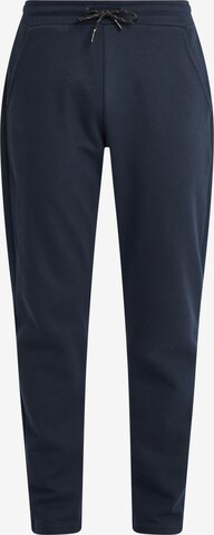 !Solid Regular Sweatpants 'Telmo' in Blau: predná strana