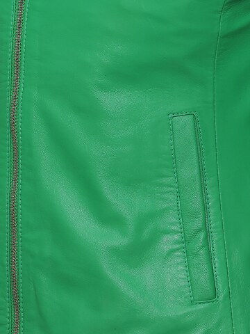 Maze Tussenjas in Groen
