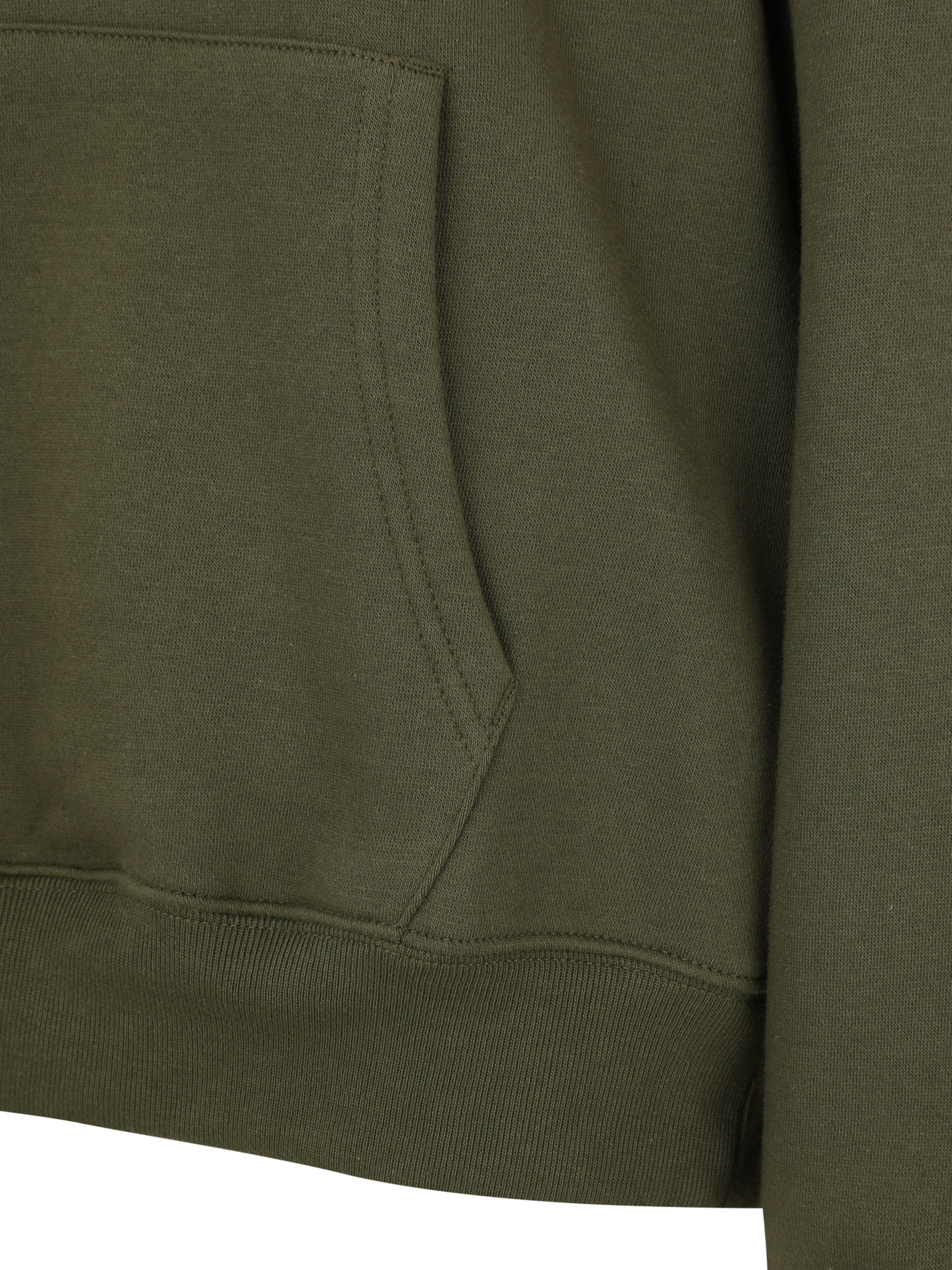 GAP Sweatshirt 'HERITAGE' in Green