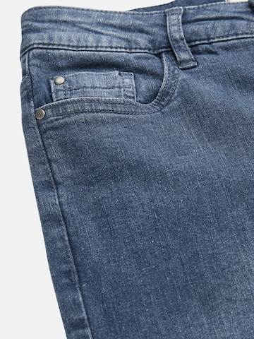 Regular Jean Cellbes of Sweden en bleu