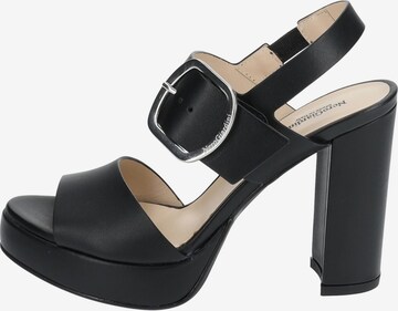 Nero Giardini Sandals in Black