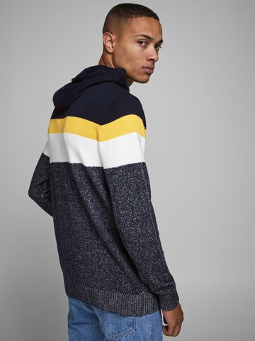 JACK & JONES Trui in Blauw