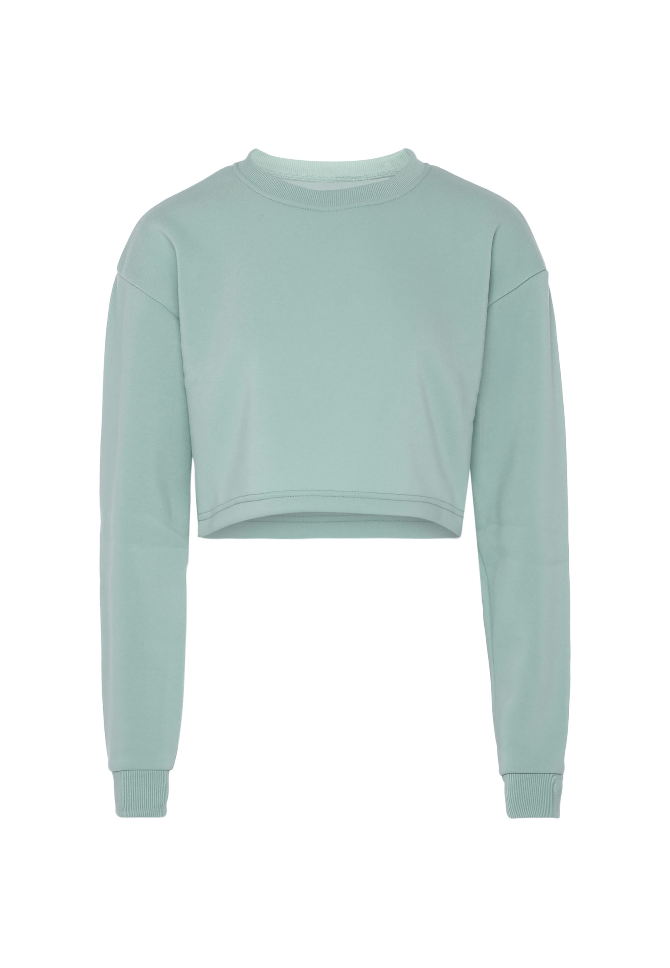 Colina Sweatshirt in Green: front