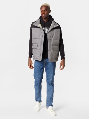 Won Hundred Vest 'North' in Grey