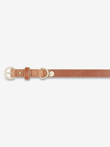 Picard Pet accessories 'Susi' in Brown