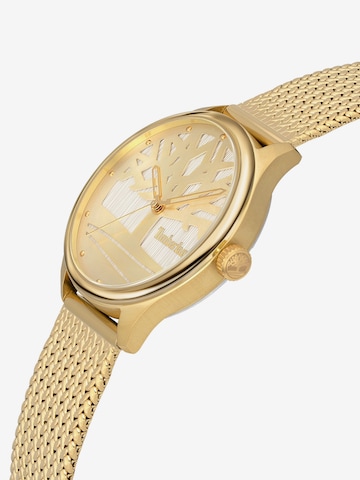 TIMBERLAND Analoog horloge 'LINCOLNDALE' in Goud