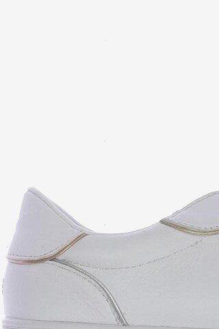 TOMMY HILFIGER Sneakers & Trainers in 40 in White
